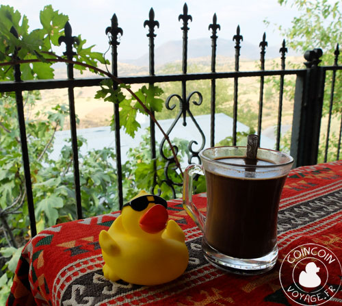 Coincoin et le café kurde