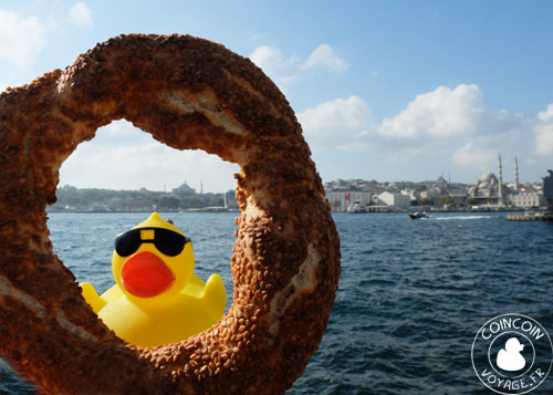 Coincoin mange un Simit