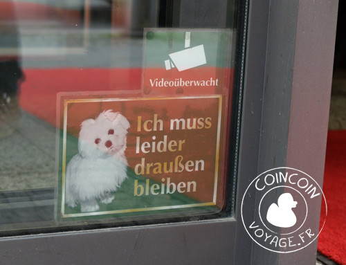 chien-chocolatier-rausch-berlin