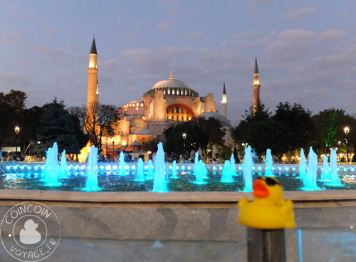 Coincoin et la Mosquée bleue