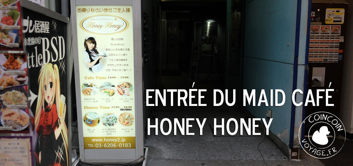 honeyhoney maid café tokyo