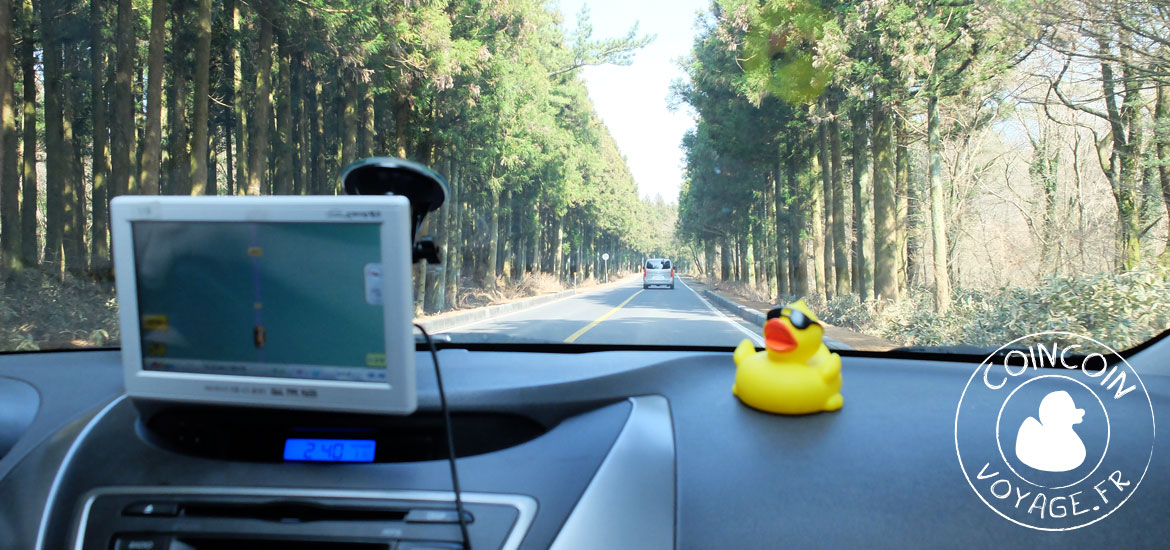 jéju corée louer voiture route