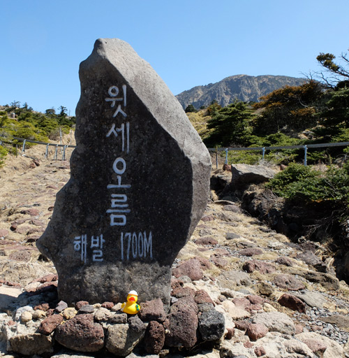 parc-national-halassan-jéju-corée