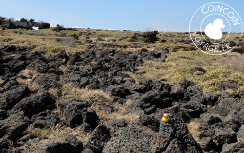 volcan-parc-national-hallasan-jéju-corée-du-sud