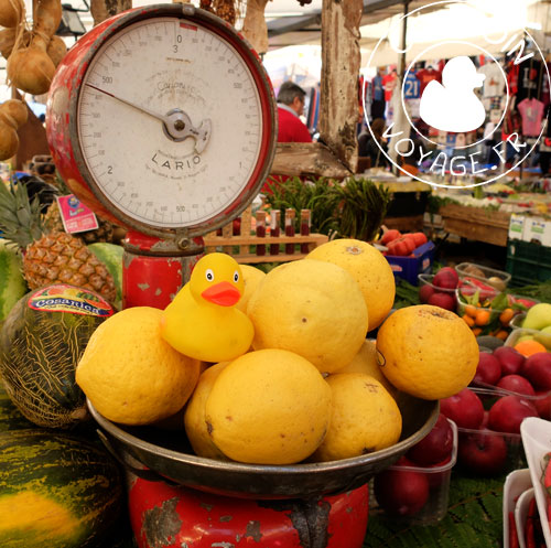 voyage campo-dei-fiori rome