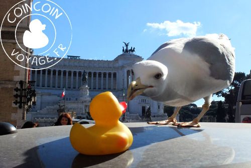 surprise mouette voyage rome