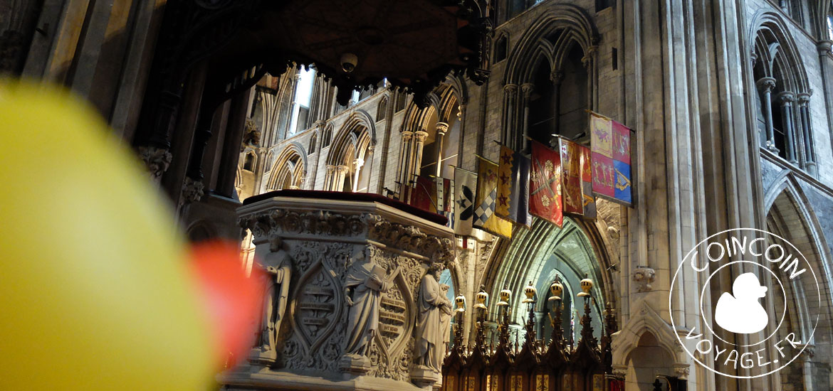 cathedrale saint patrick dublin