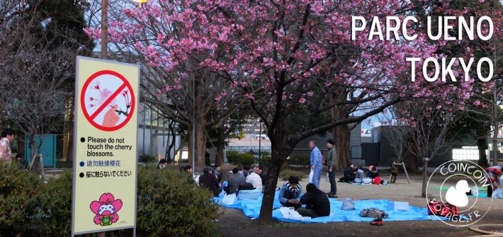 hanami parc ueno tokyo