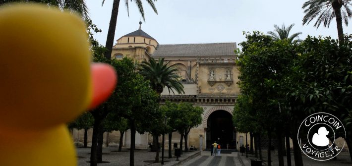 mezquita cordoue visite matin