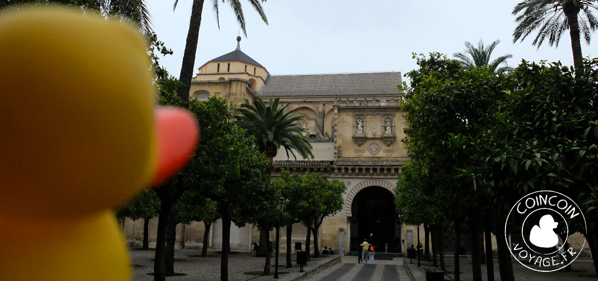 mezquita cordoue visite matin